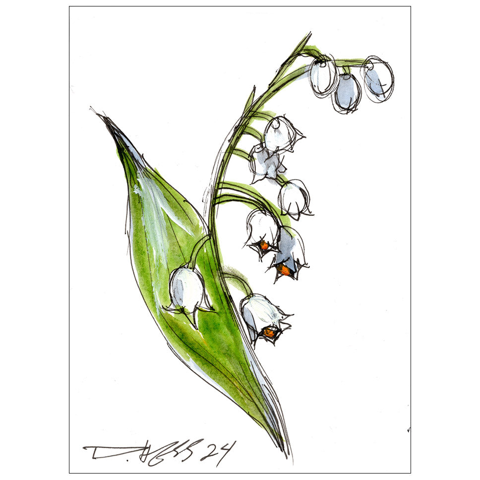 Lily of the Valley #13
