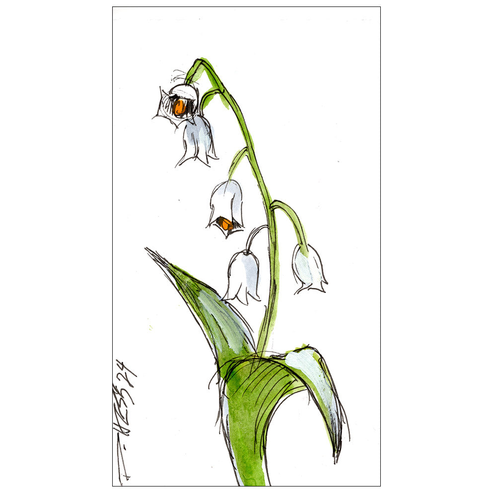 Lily of the Valley #14