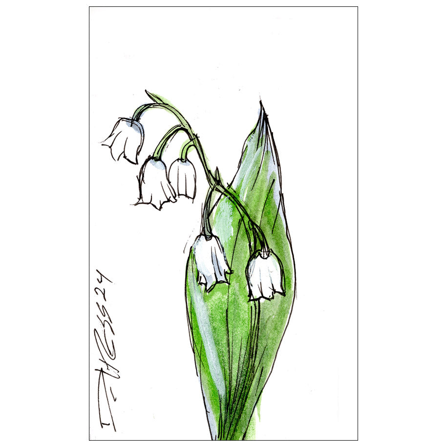 Lily of the Valley #4