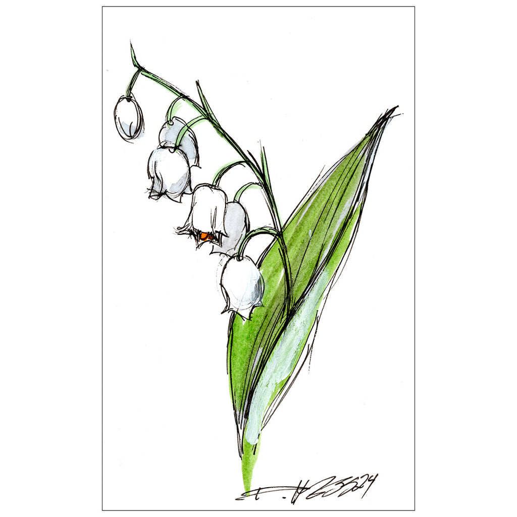 Lily of the Valley #8