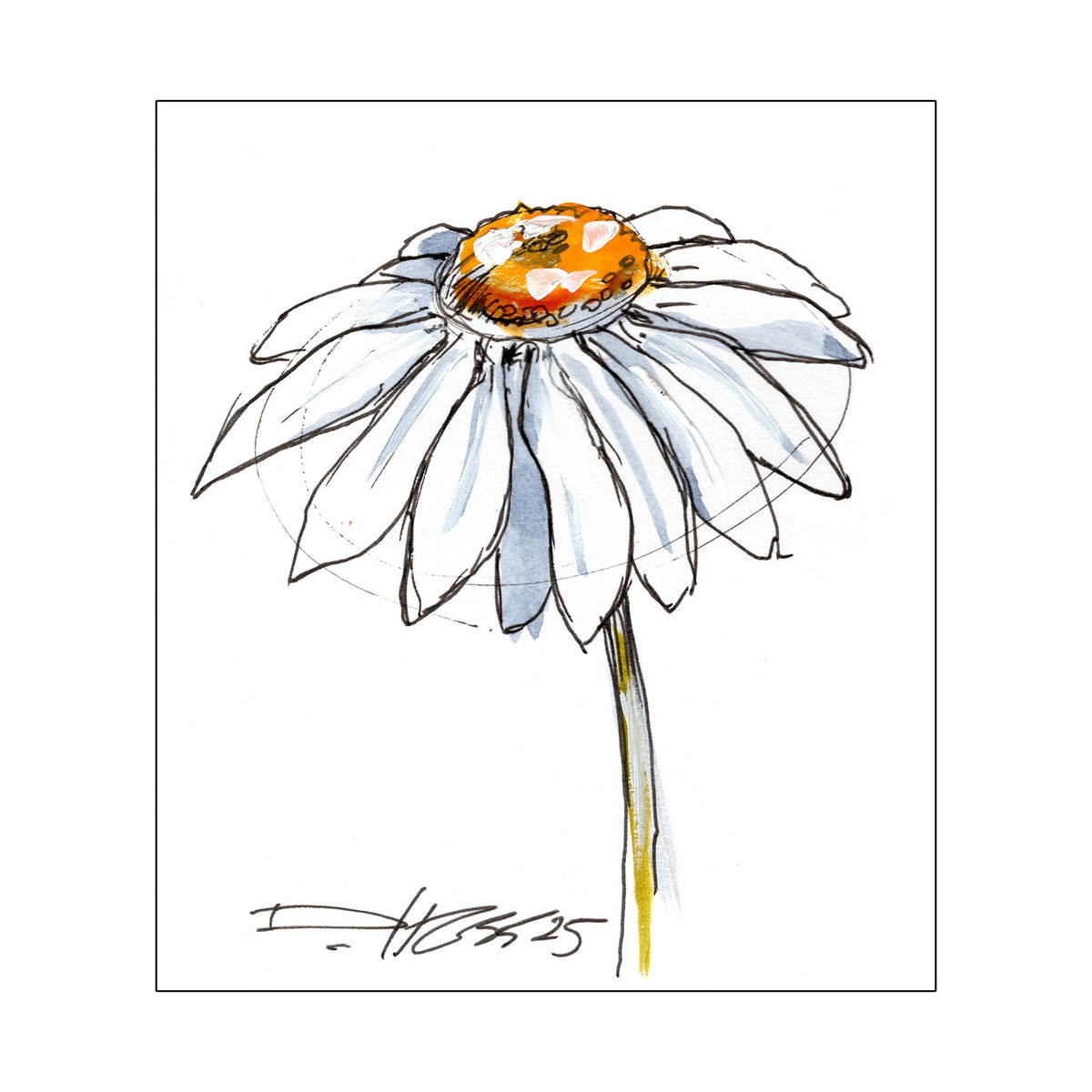 Derek Hess | Original Art | Flower of the Month | April Daisy #13