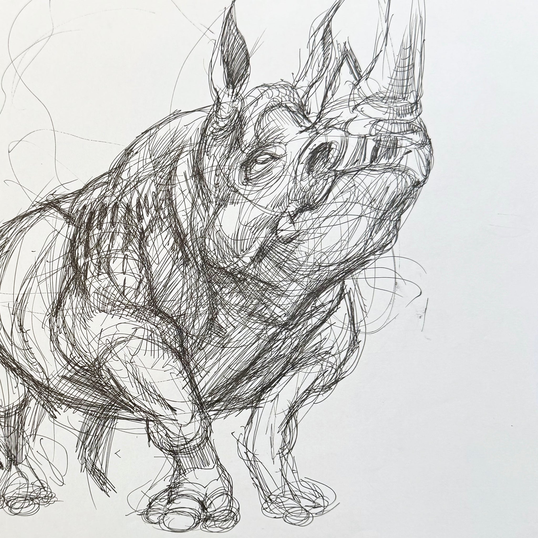 Black and White Illustration #17