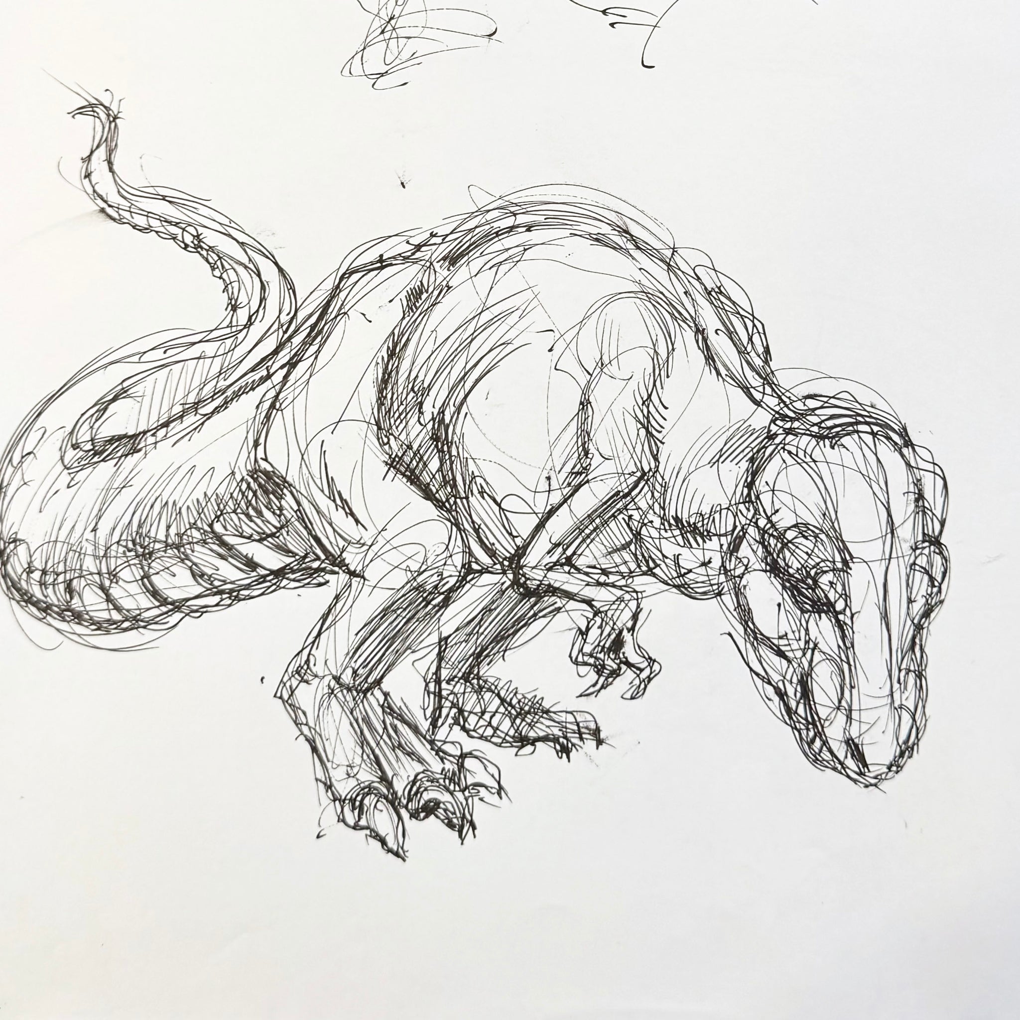 Black and White Illustration #18