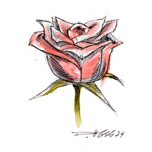 Rose 2024_10