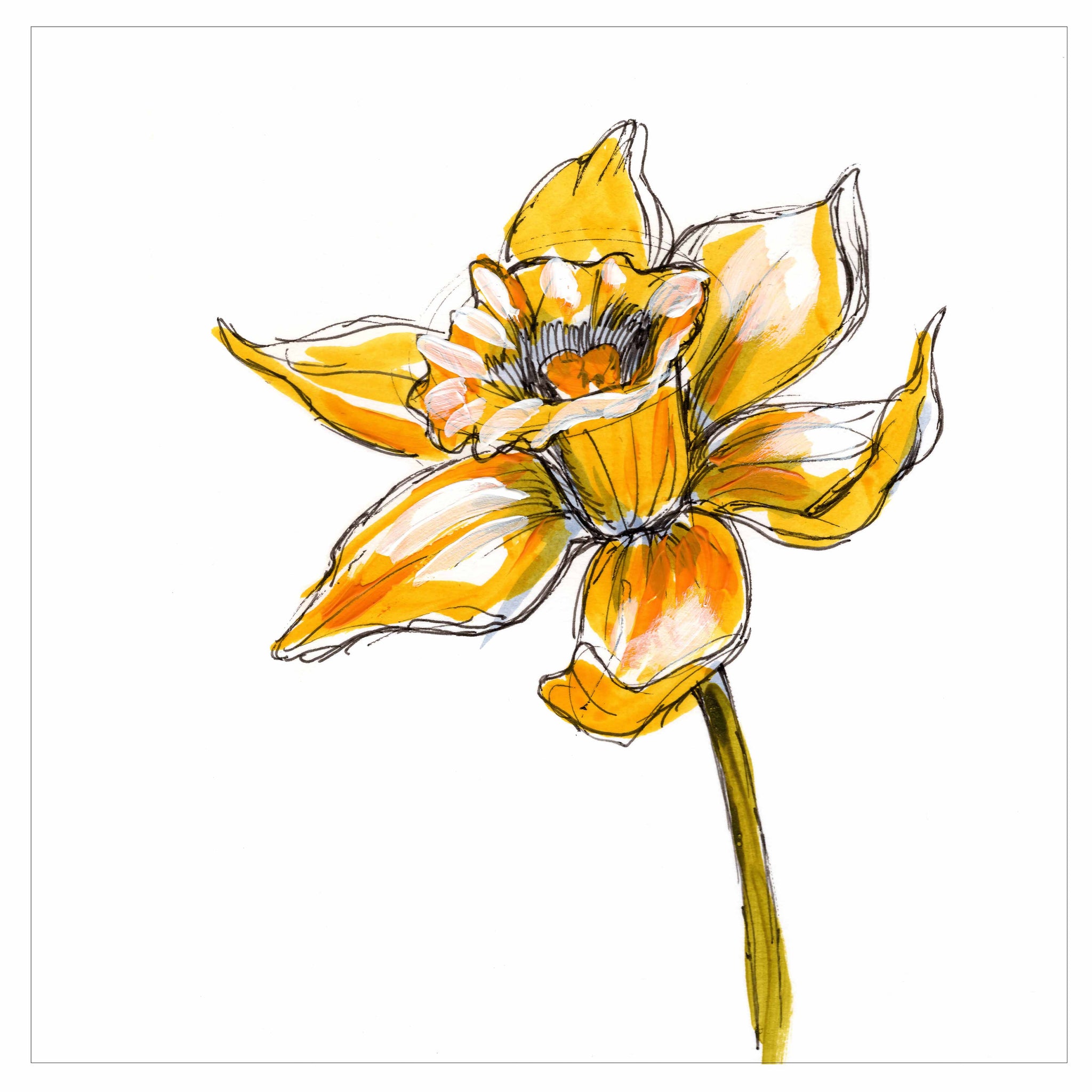 Daffodil Square Print