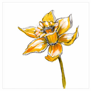 Daffodil Square Print