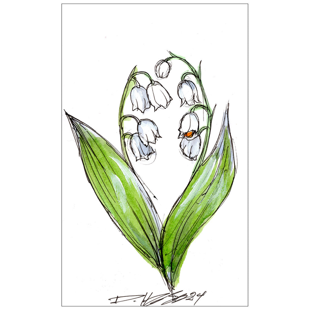 Lily of the Valley #12