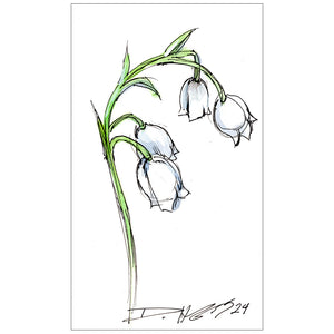 May Lily of the Valley #11