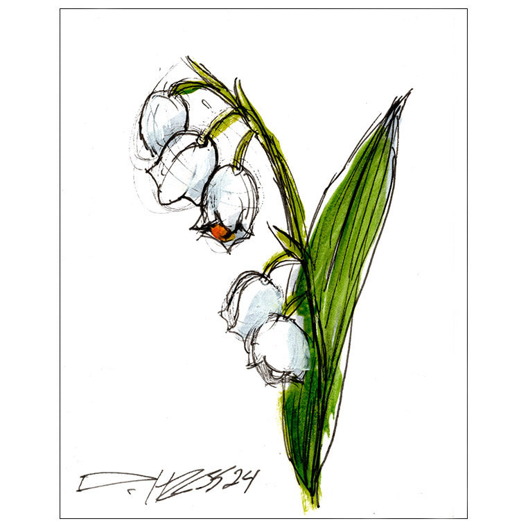 Lily of the Valley #2