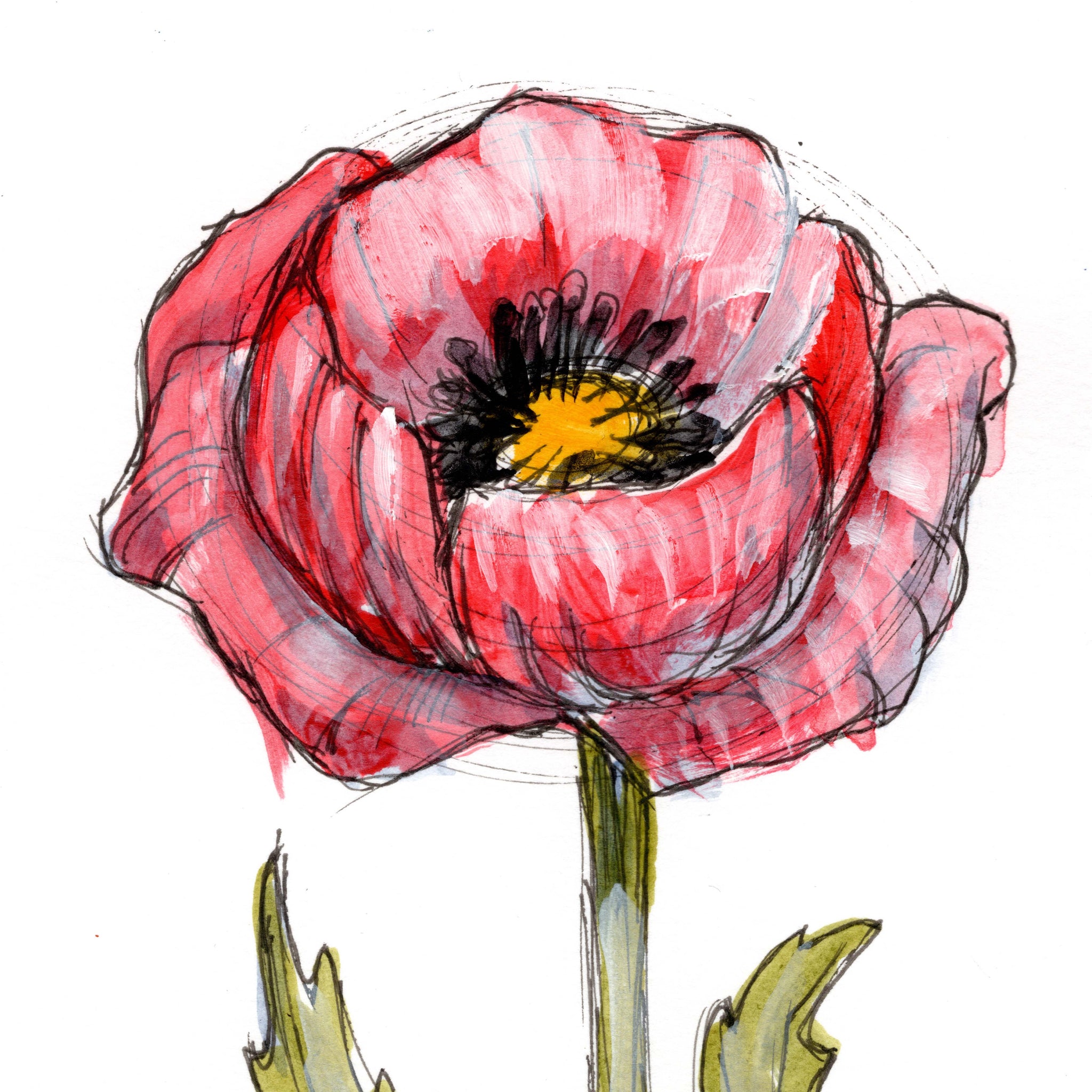 August Poppy #1