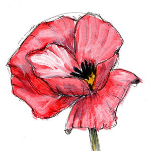 August Poppy #2