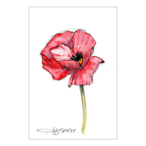 August Poppy #2