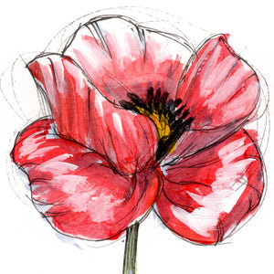 August Poppy #3