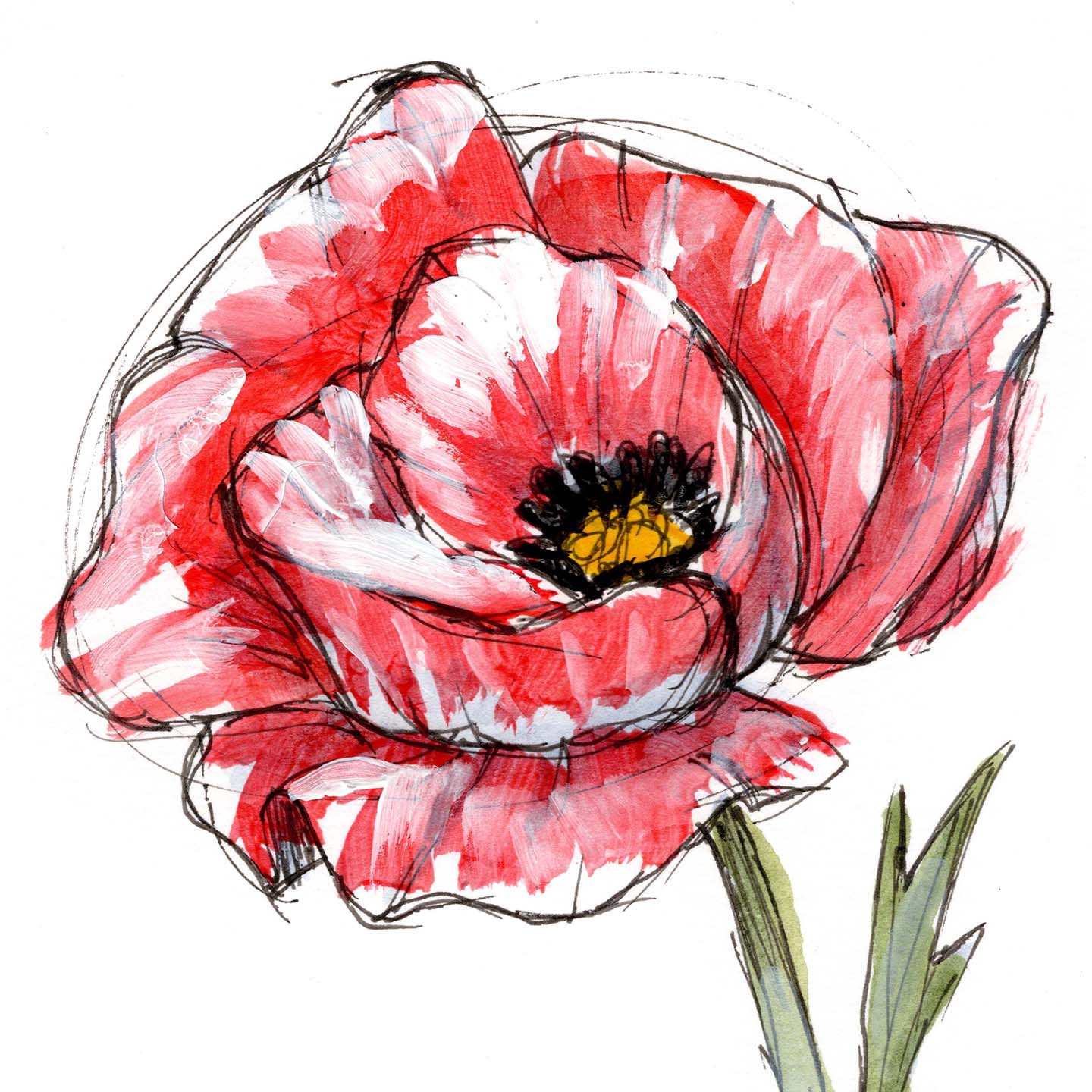 August Poppy #4