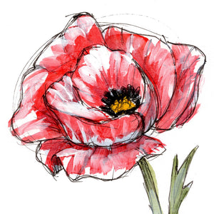 August Poppy #4