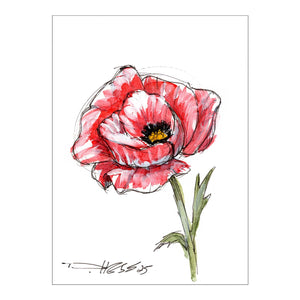 August Poppy #4