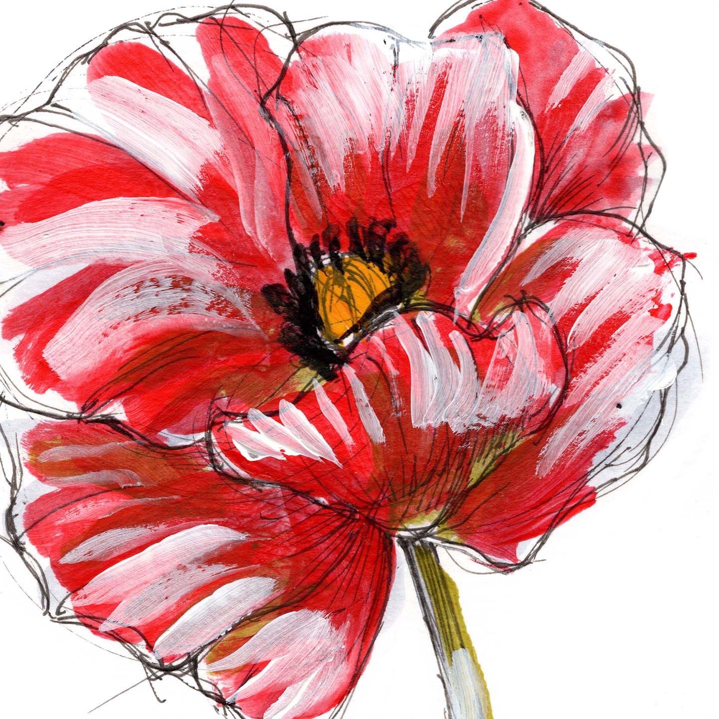August Poppy #5