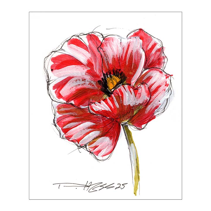 August Poppy #5