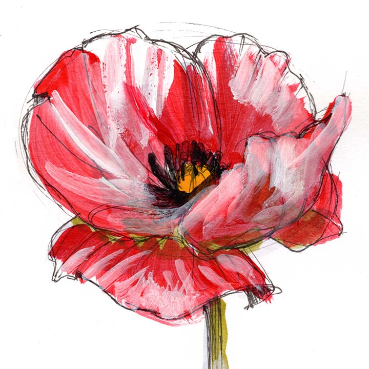 August Poppy #6