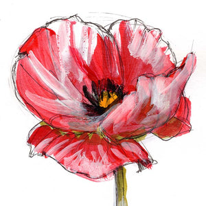 August Poppy #6
