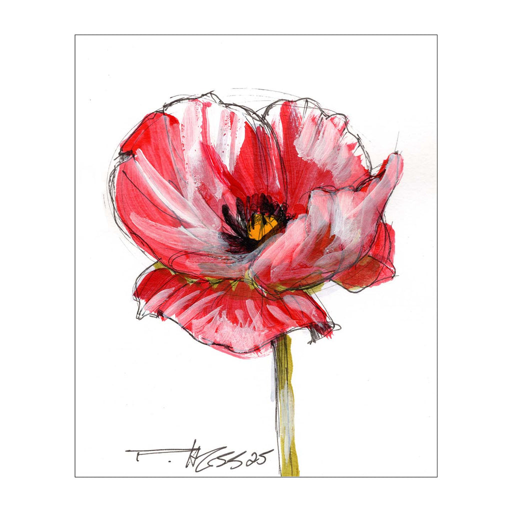 August Poppy #6