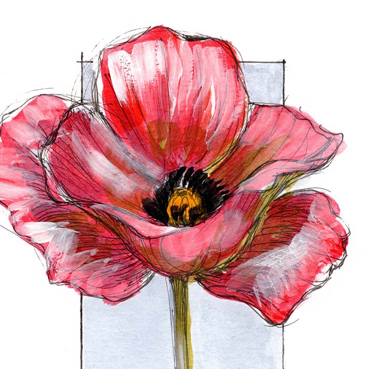 August Poppy #7