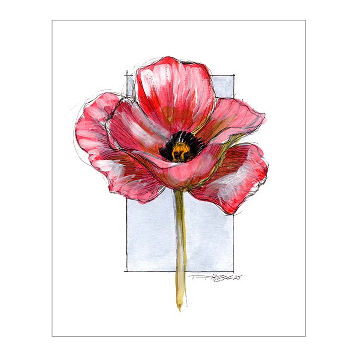 August Poppy #7