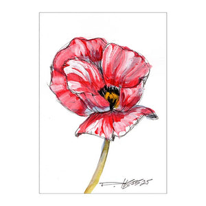 August Poppy #8