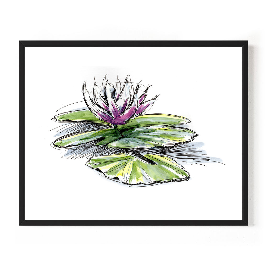 Water Lily (July Print)