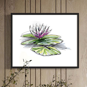 drawing water lily flower Derek Hess | Limited Edition | Flowers