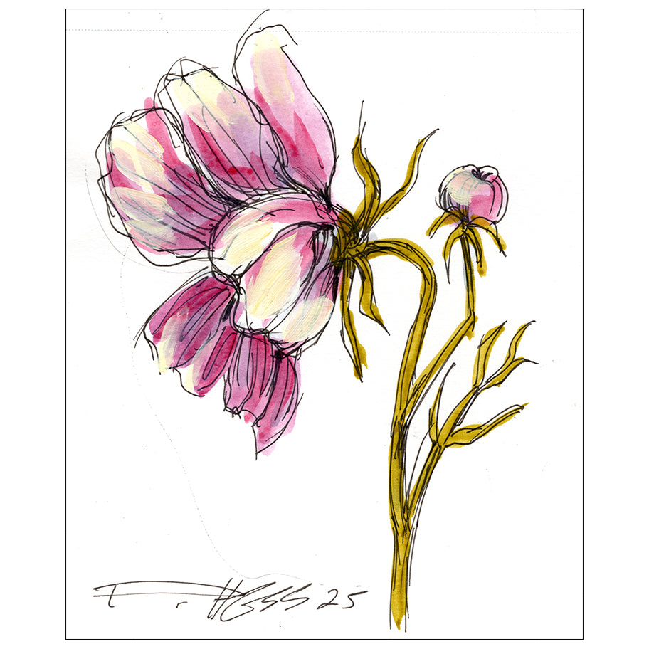 Cosmos #2