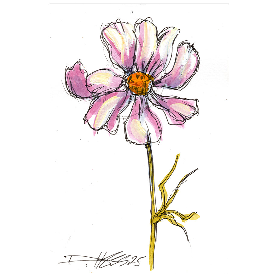 Cosmos #3