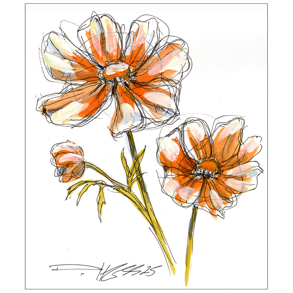 Cosmos #5