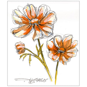 Cosmos #5