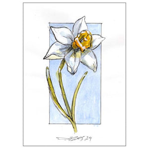 December Narcissus #12