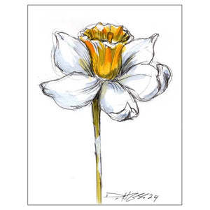 December Narcissus #4