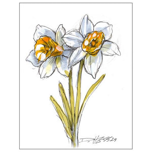 December Narcissus #6