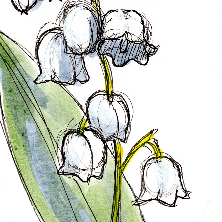 May Lily of the Valley #5