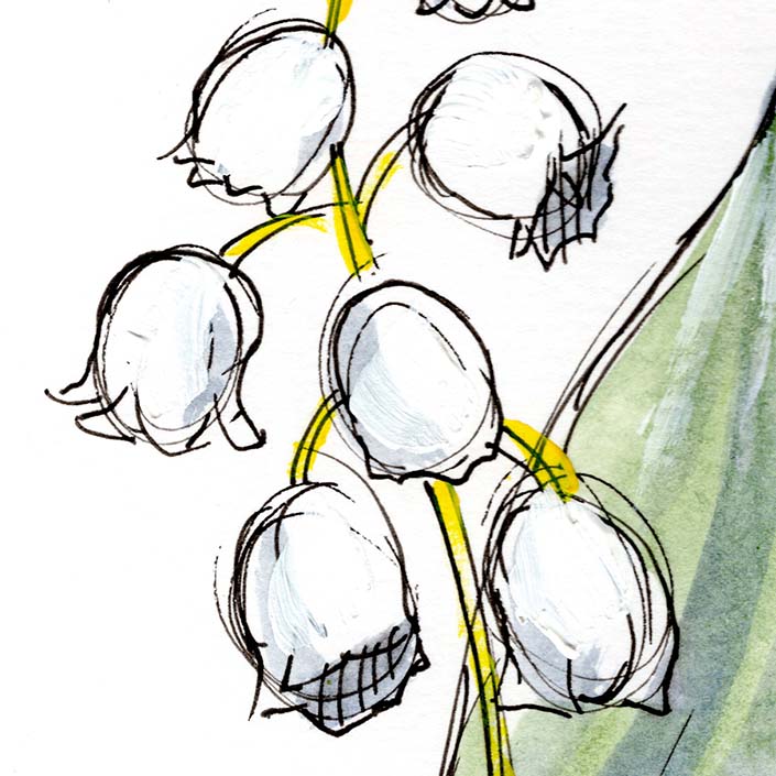 May Lily of the Valley #7
