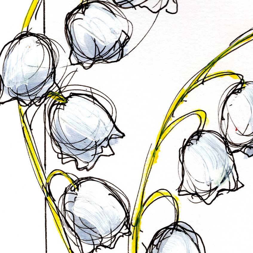 May Lily of the Valley #8