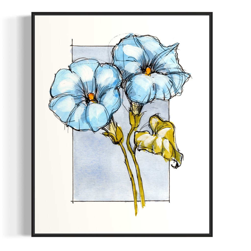 Morning Glory (September Print)