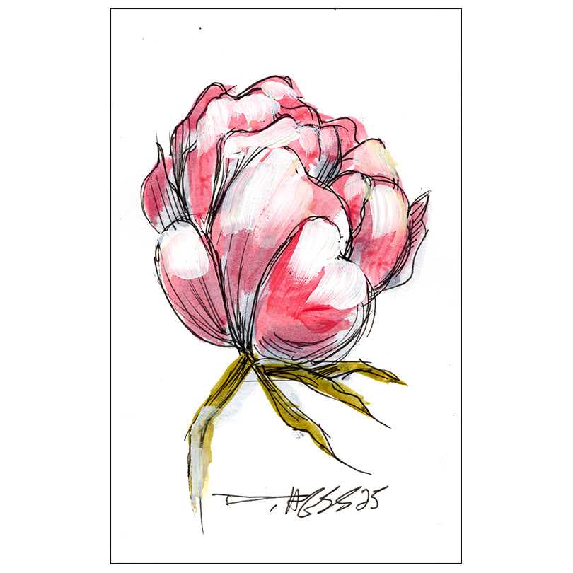 Peony #2