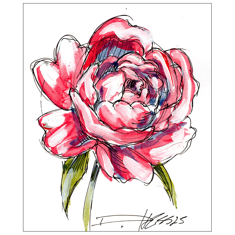 Peony #3