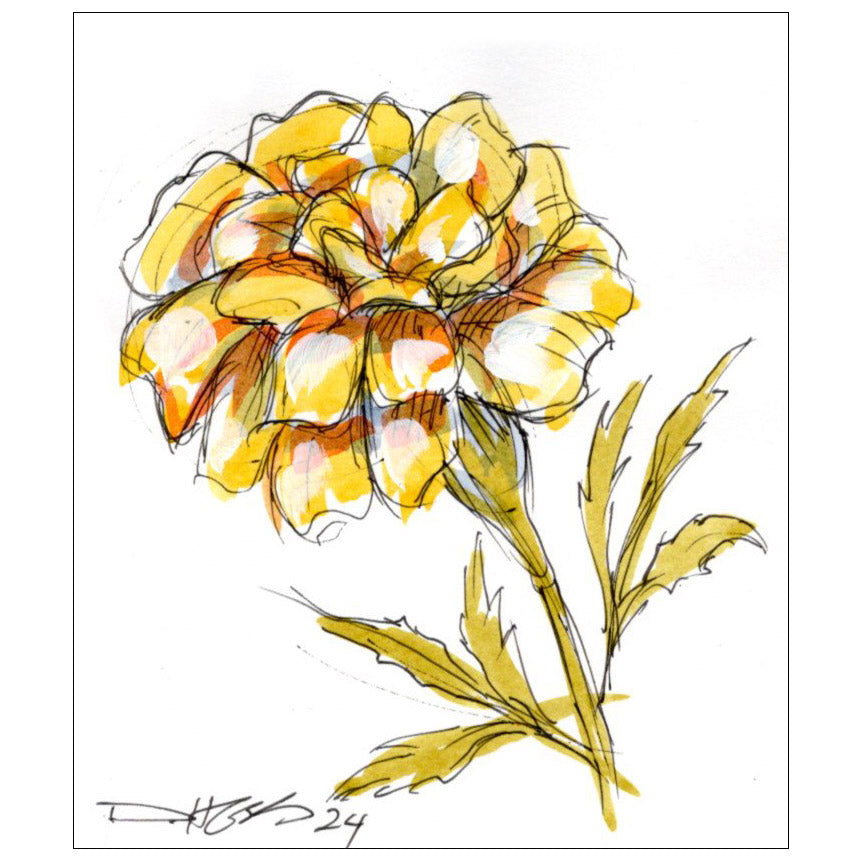 October Marigold #6