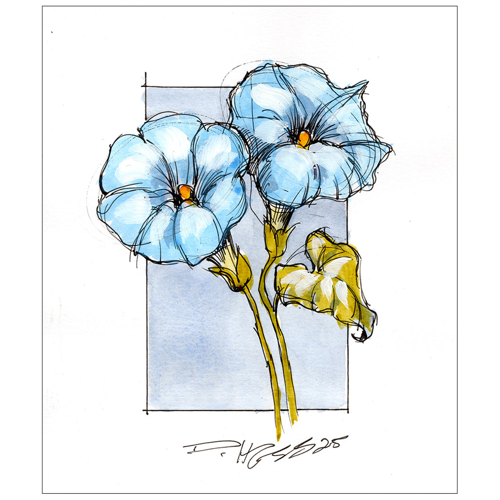 Morning Glory #8